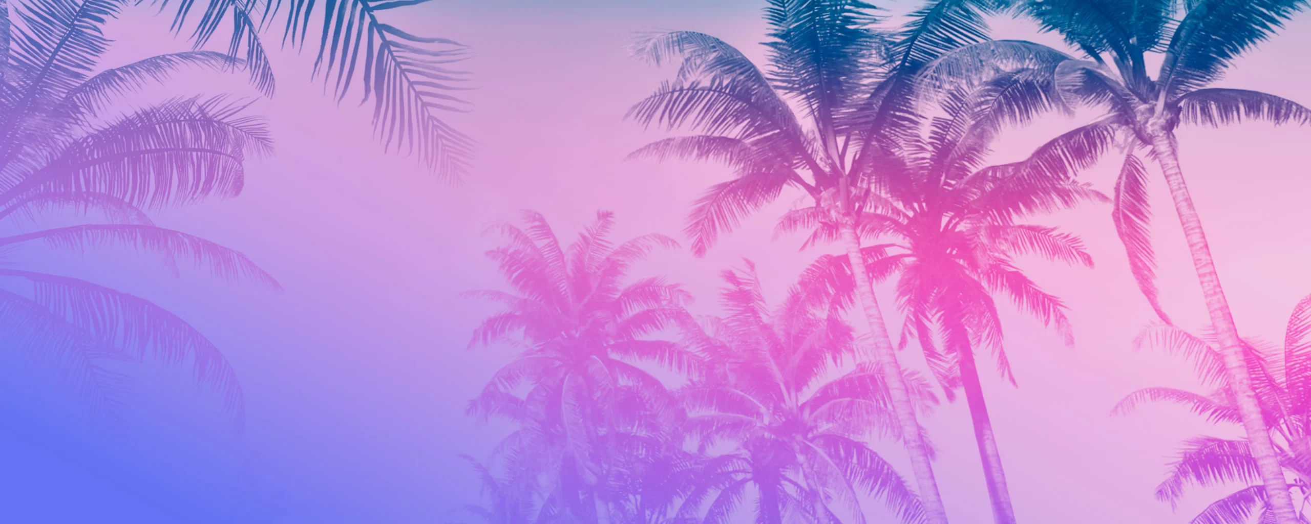 cocoteo-background.06dq9w0ac7f-copy-scaled.webp
